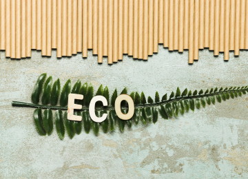 Sustainable Living Made Simple